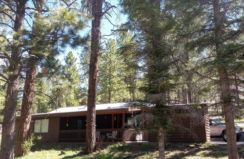 Greer Cabin | Windes' East Fork Retreat: Private, By the river, Bird Watching, Weekly Rate