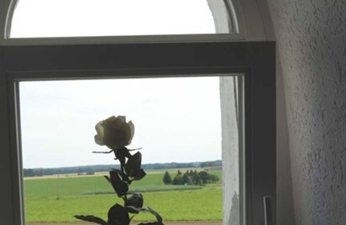 Ohrdorf House | Windmühle mit Kleiner Ferienwohnung - Mühlenurlaub Südheide