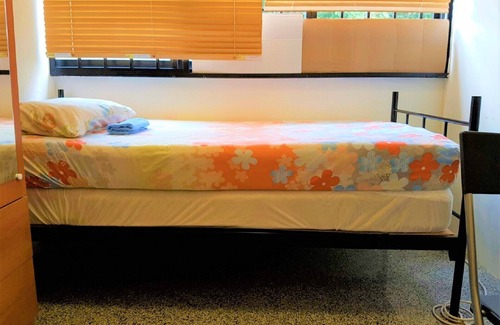 Jalan Besar Apartment | window greenery room1 near CitySQ Mall
