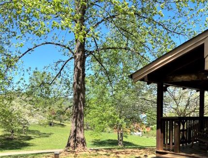 Wears Valley House | Windy Ridge-Pet-Friendly Smoky Mountain Cabin with Fishing Access, Fenced Yard & Free Tickets