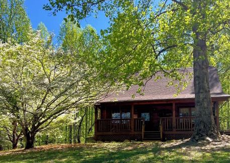 Wears Valley House | Windy Ridge-Pet-Friendly Smoky Mountain Cabin with Fishing Access, Fenced Yard & Free Tickets