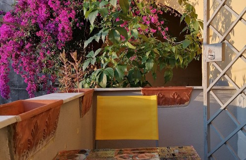 Pollena Trocchia Apartment | WINE HOUSE ON VESUVIUS