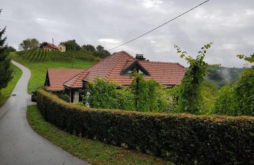 Videm House | Wine & Nature & Tour