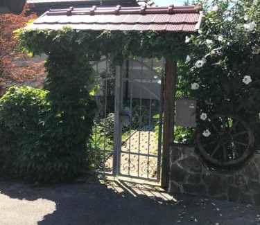 Videm House | Wine & Nature & Tour