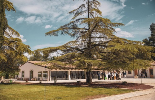 Montegrosso Resort | Wine & Resort Le Vigne al Castello