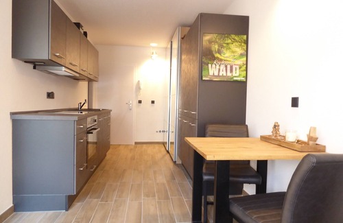 Winterberg Apartment | ★Winterberg Sunshine ★for up to 4 people★ private terrace ★Wlan ★Sauna★
