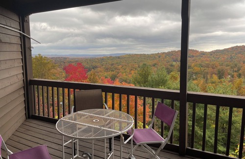 Ghent Apartment | Winterplace Condo D305