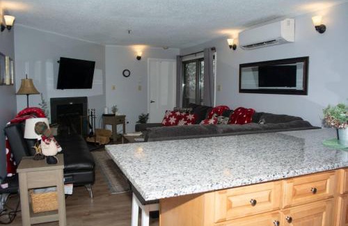 Ghent Apartment | Winterplace Condos - Ski In Ski Out! E101
