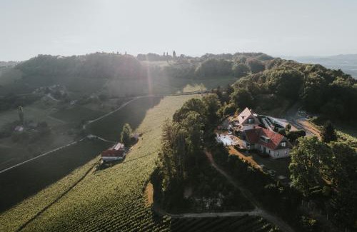 Spodnja Polskava Bed & Breakfast | Winzarei Ciringa Menhard