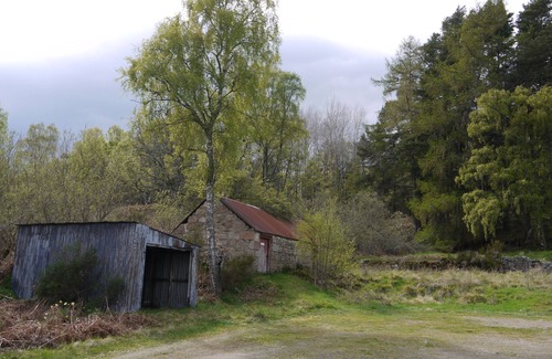 Logie Coldstone House | Wisdomhowe is a traditional cottage, surrounded by a birch woodland.
