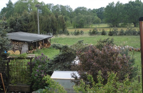 Alt Zauche-Wußwerk Apartment | With a direct view of a stork's nest