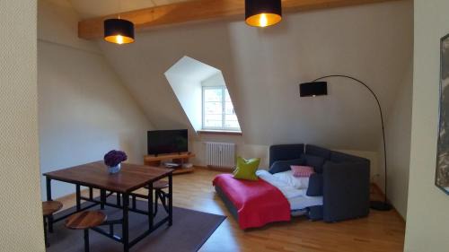 Heidelberg City Centre Apartment | Wohnen unter dem Schloss