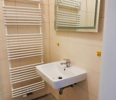 Mittelstadt Apartment | Wohngut-City Apt. 1 Zi. 1 DB + 1 EZ 34 qm mit Parkplatz