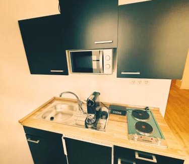 Mittelstadt Apartment | Wohngut-City Apt. 1 Zi. 1 DB + 1 EZ 34 qm mit Parkplatz