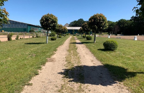 Gueby Apartment | Wohnung Ostsee - Hof Eckhorst
