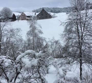 Herisau Apartment | Wohnung Säntisblick mit Parkplatz