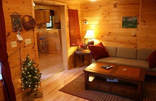 Del Rio Cabin | Wolfcreek Cabin/Secluded & Romantic/Hot Tub/Acreage Bordering National Forest