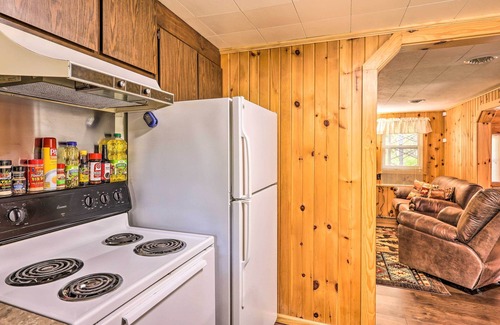 Baldwin Cabin | Wolfs River Retreat w/Yard & River Access!