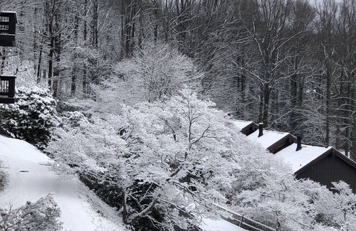 Dan River Villa | Wonderful view 2/2 villa. A block away from the Blue Ridge Parkway. 2 balconies!