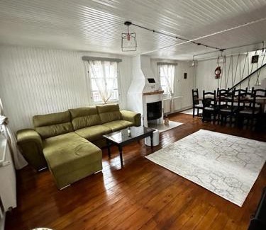 Valiug House | Wood House Valiug