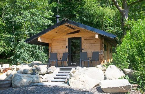 Glandyfi Ski Chalet | Woodcutters' Cabin Authentic Log Cabin Talybont Aberystwyth SY245DW