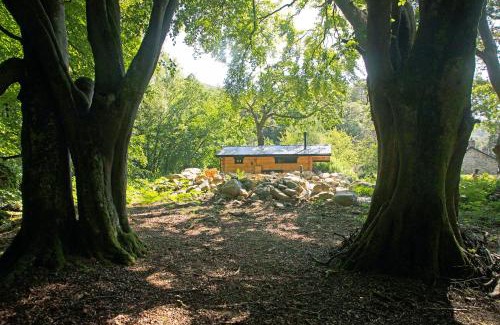 Glandyfi Ski Chalet | Woodcutters' Cabin Authentic Log Cabin Talybont Aberystwyth SY245DW