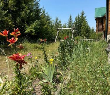 Plavya House | WoodDream