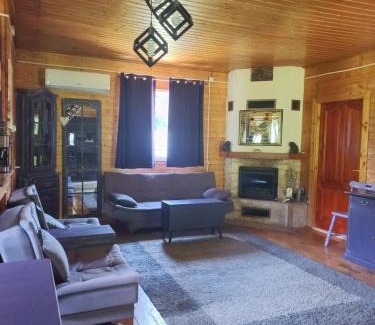 Certeju de Sus House | Wooden house