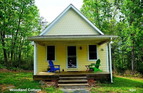 Buckingham Apartment | Woodland Cottage near Yogaville, nestled in woods