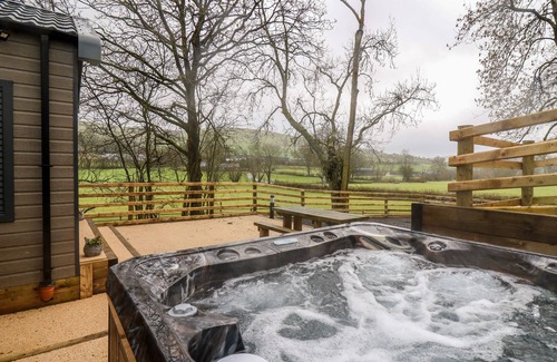 Llandrindod Wells Cottage | WOODLAND ESCAPE, with hot tub in Rhayader
