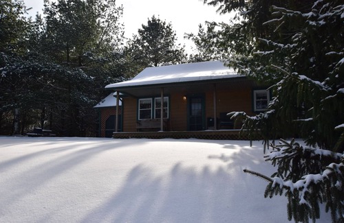 Laurelville Cabin | Woodland view-Cedar Cottage