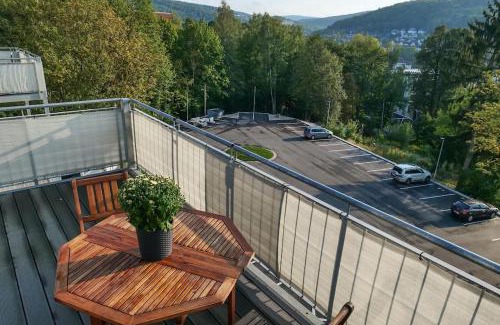 Aue Apartment | Wunderschöne Ferienwohnung mit Balkon in Aue