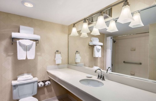 Farmers Branch Hotel | Wyndham Garden Dallas North