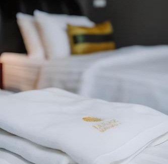 Tha Sala Apartment | X Lunar Mansion Hotel - โรงแรม ลูน่า แมนชั่น เชียงใหม่