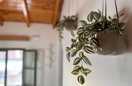 Poros Apartment | Xasteria apartment Ξαστεριά