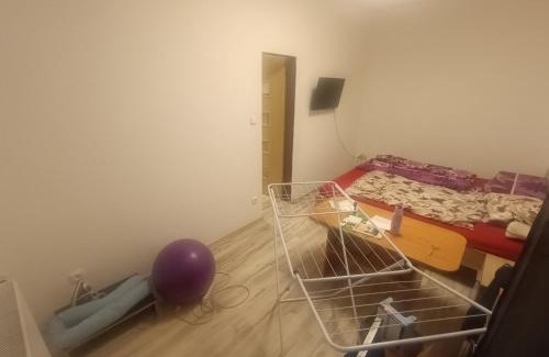Golcuv Jenikov House | Xxx