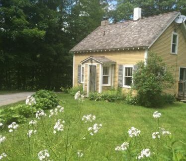 Rawsonville House | Yellow Sweetie at the Base of Stratton