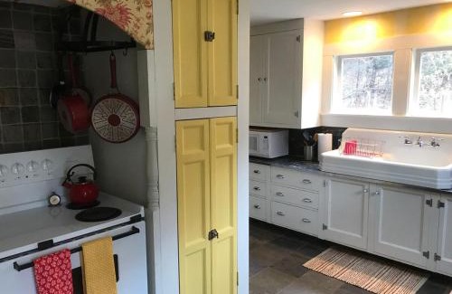 Rawsonville House | Yellow Sweetie at the Base of Stratton