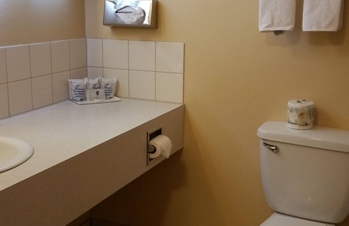 Valemount Hotel | Yellowhead Motel