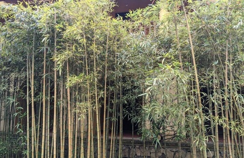 Uong Bi Hotel | Yen Tu Boutique Zen Garden