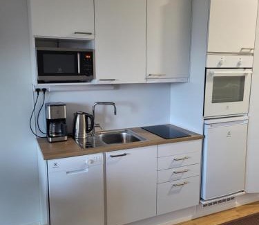 Sundsberg Apartment | Yksiö Sarvvikissa