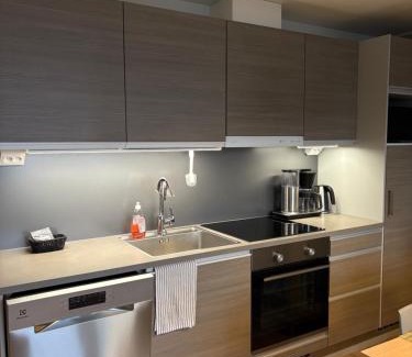 Yllas Apartment | Ylläs Chalet 4304