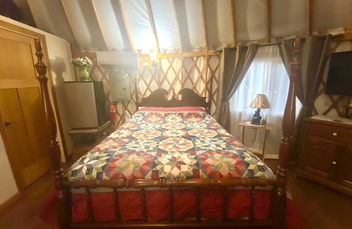 Veneta Bed & Breakfast | Yogi's Den is a playfully themed Yurt starring Yogi the bear and his pals.