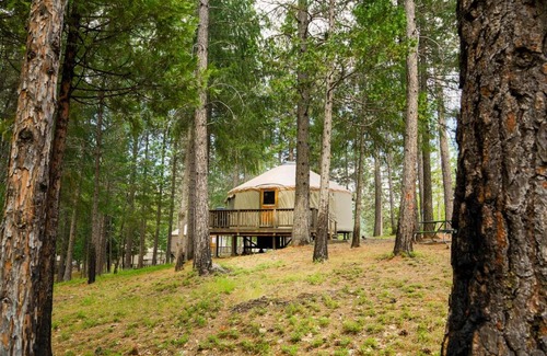 Harden Flat Resort | Yosemite Lakes Hillside Yurt 1
