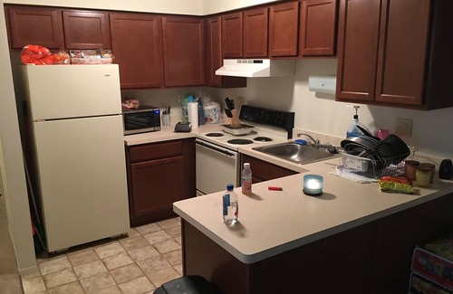 New Baltimore House | You wanna take a trip for peace