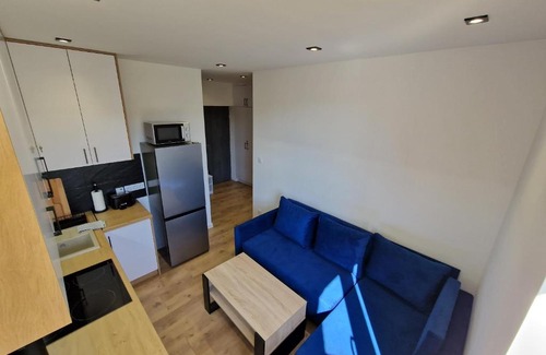 Debica Apartment | YourSecondFlat Sobieski Apartment