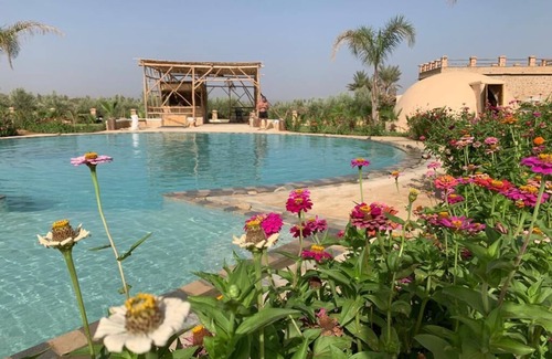 Ain Cheggag Apartment | Yourtes Insolites et Entièrement Écologiques Avec Piscine