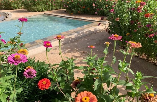 Ain Cheggag Apartment | Yourtes Insolites et Entièrement Écologiques Avec Piscine