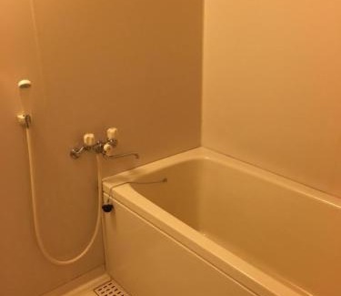 Yunogo Onsen Hotel | Yunogo Onsen HOTEL YUNOMORI BISYUNKAKU
