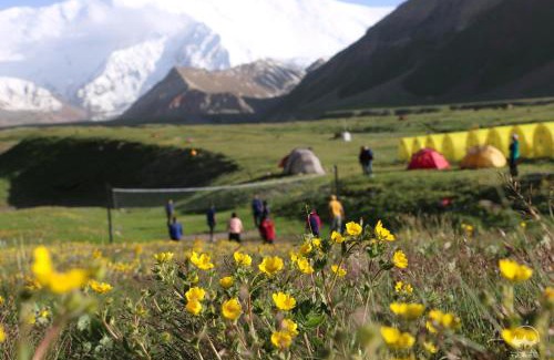 Osh Region Other | Yurt Glamping Edelweiss Meadow at the foot of Lenin Peak